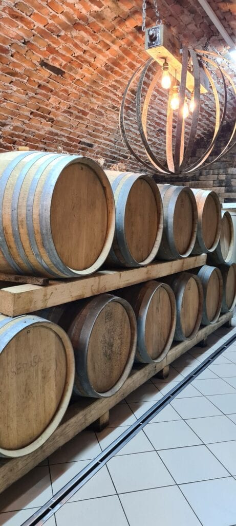 Vinarija Šijački kroz četiri generacije