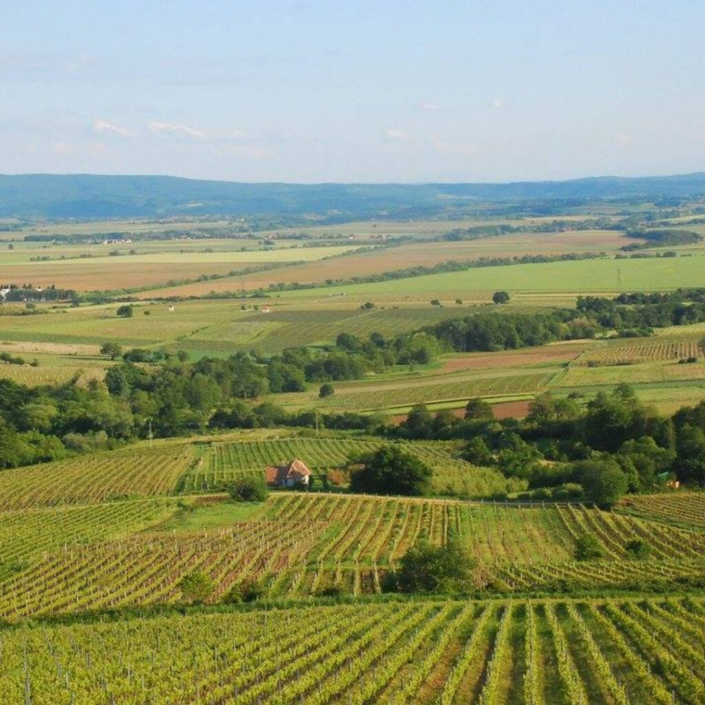 Vinarija Enjingi